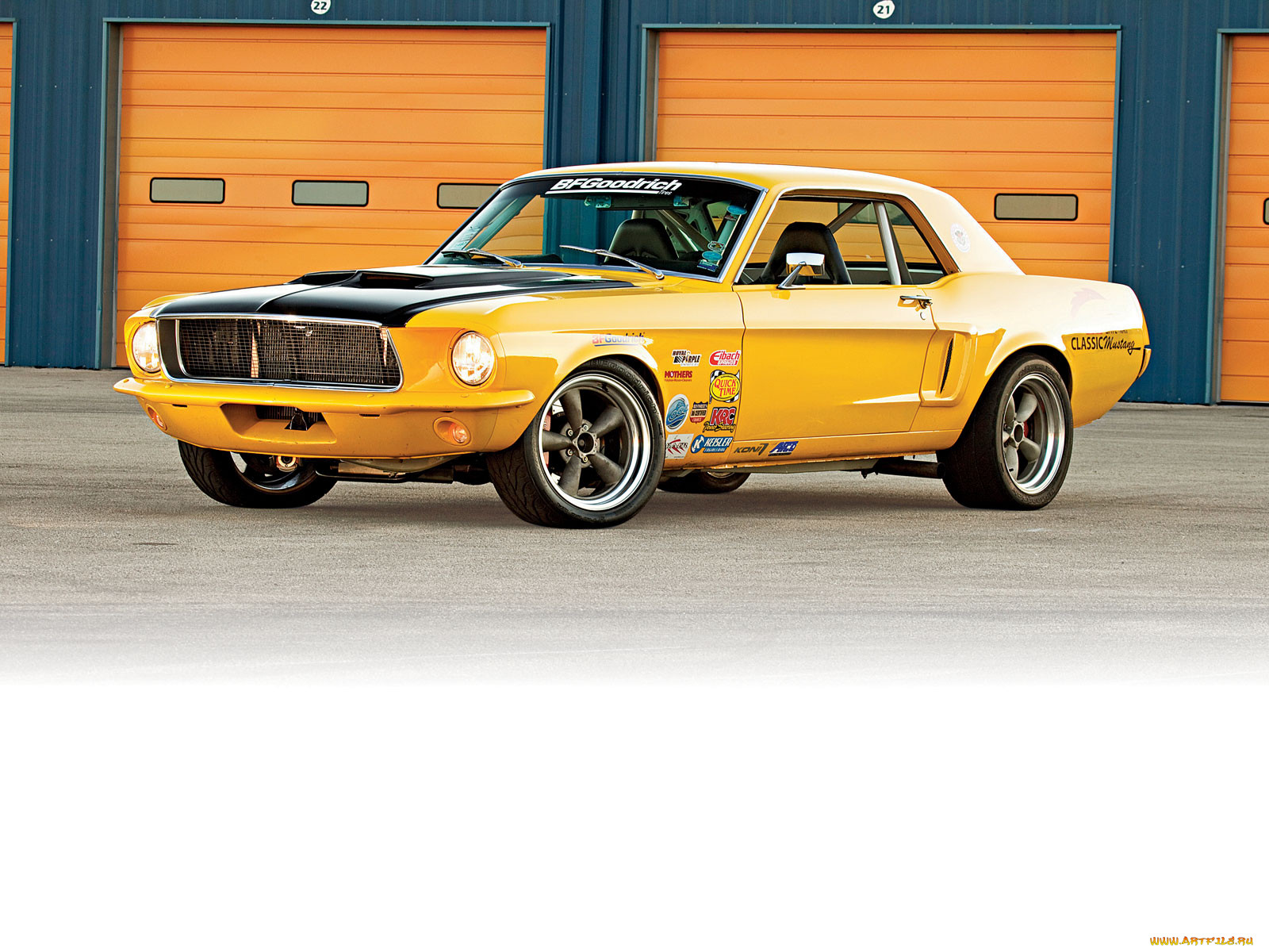 , mustang
